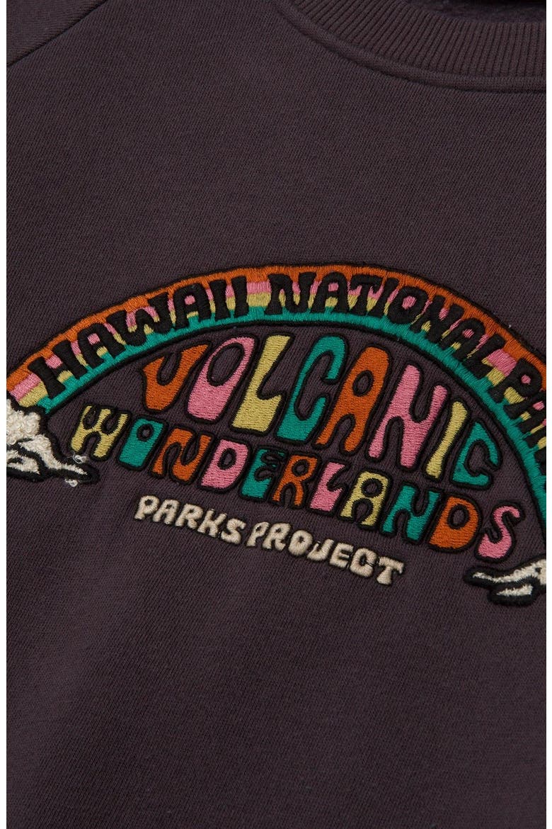 Hawai'i Geological Wonderlands Crew Sweatshirt, Alternate, color, Graphite