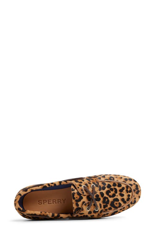 Sperry Top-sider® Slim Boat Shoe In Brown