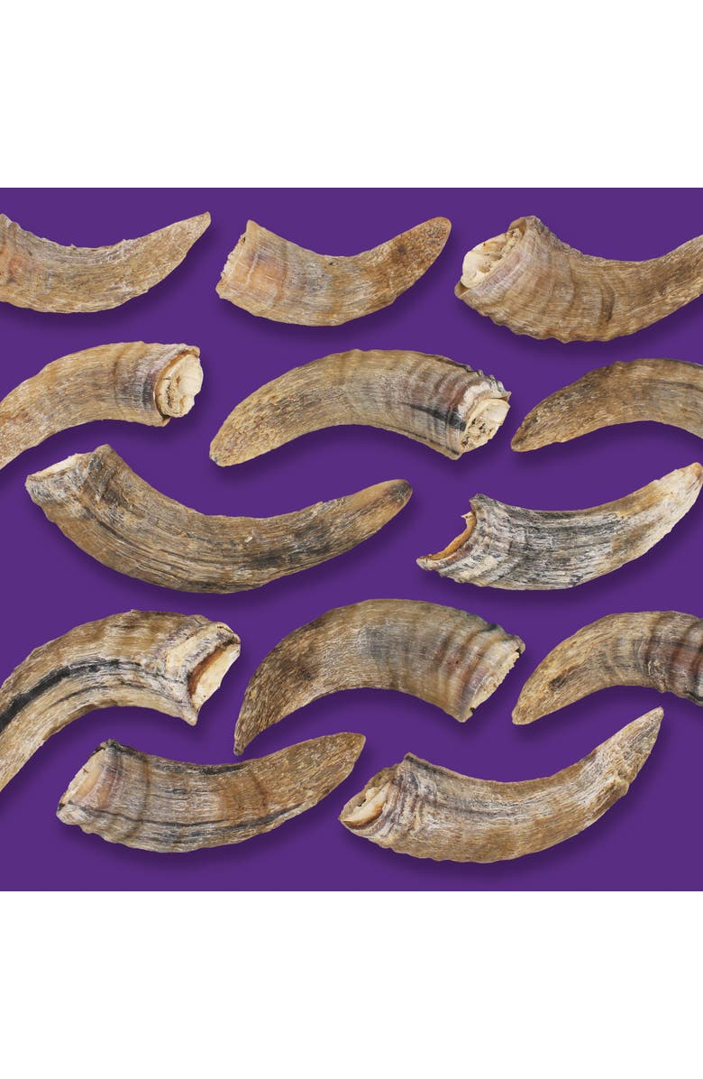 ICELANDIC+ Lamb Horn With Marrow Small 45.5 Inch Dog, Alternate, color, 