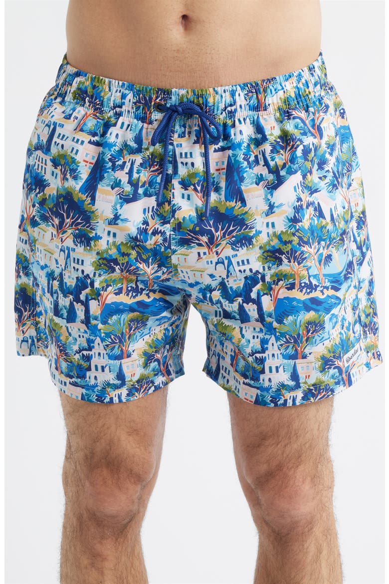 Printed Swim Trunks, Alternate, color, BLUE