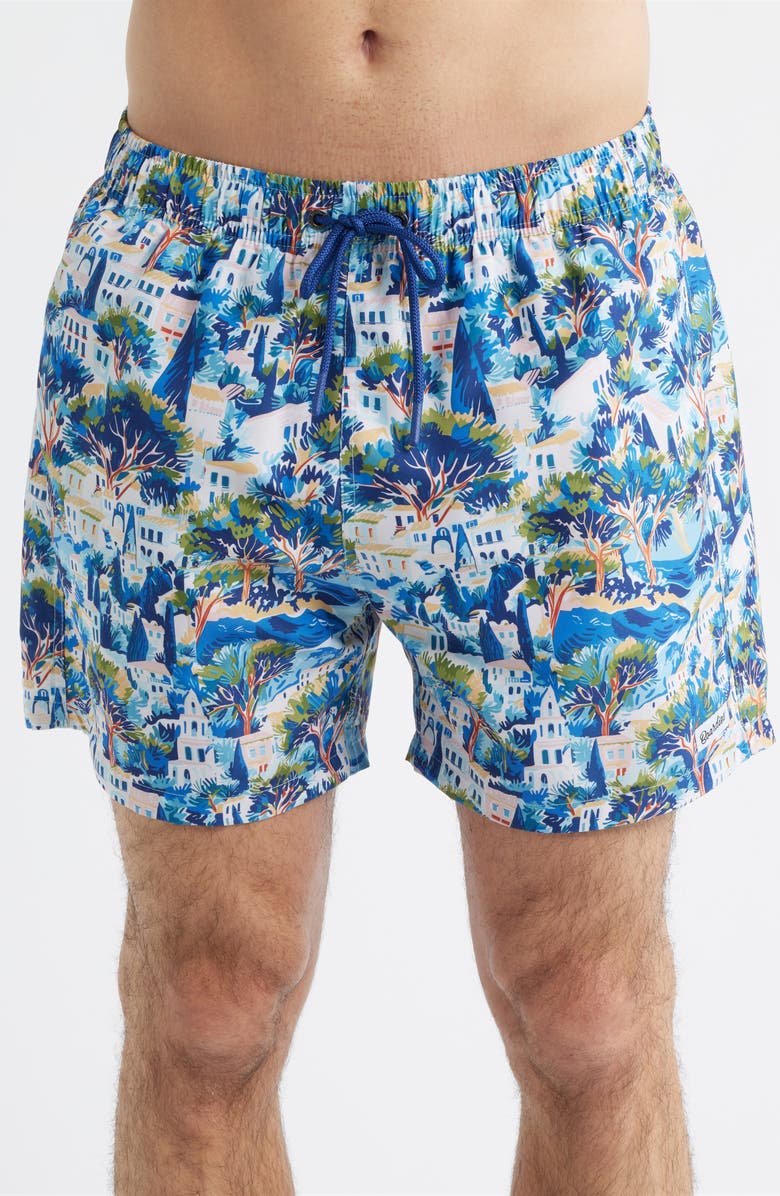 Boardies Printed Swim Trunks, Alternate, color, Blue