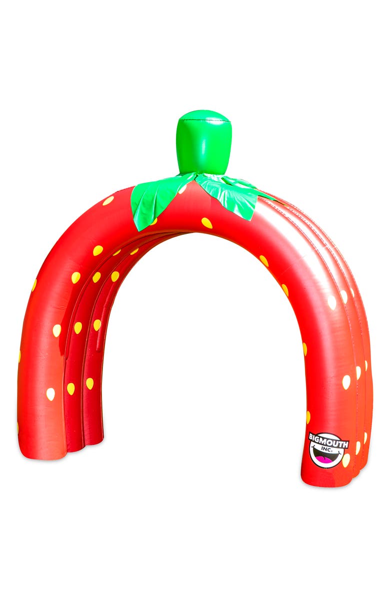 BigMouth Inc Strawberry Sprinkler, Main, color,