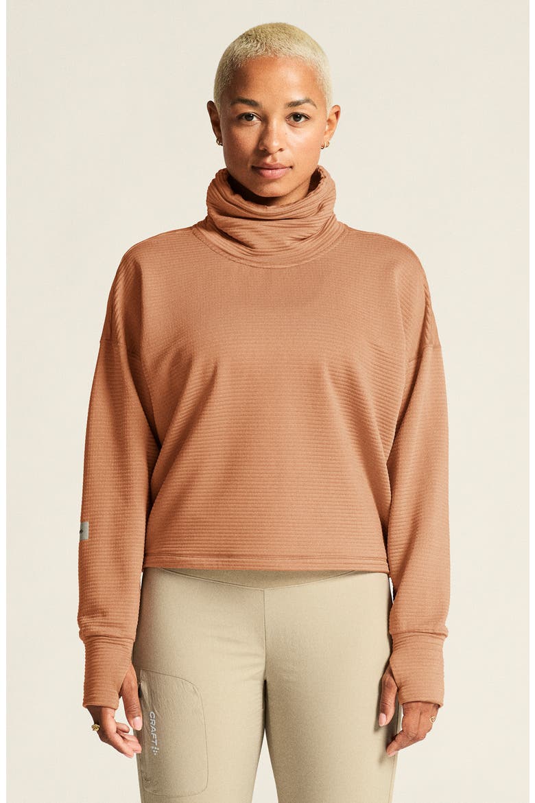 Subz Turtleneck Jersey Sweatshirt, Alternate, color, SYRUP