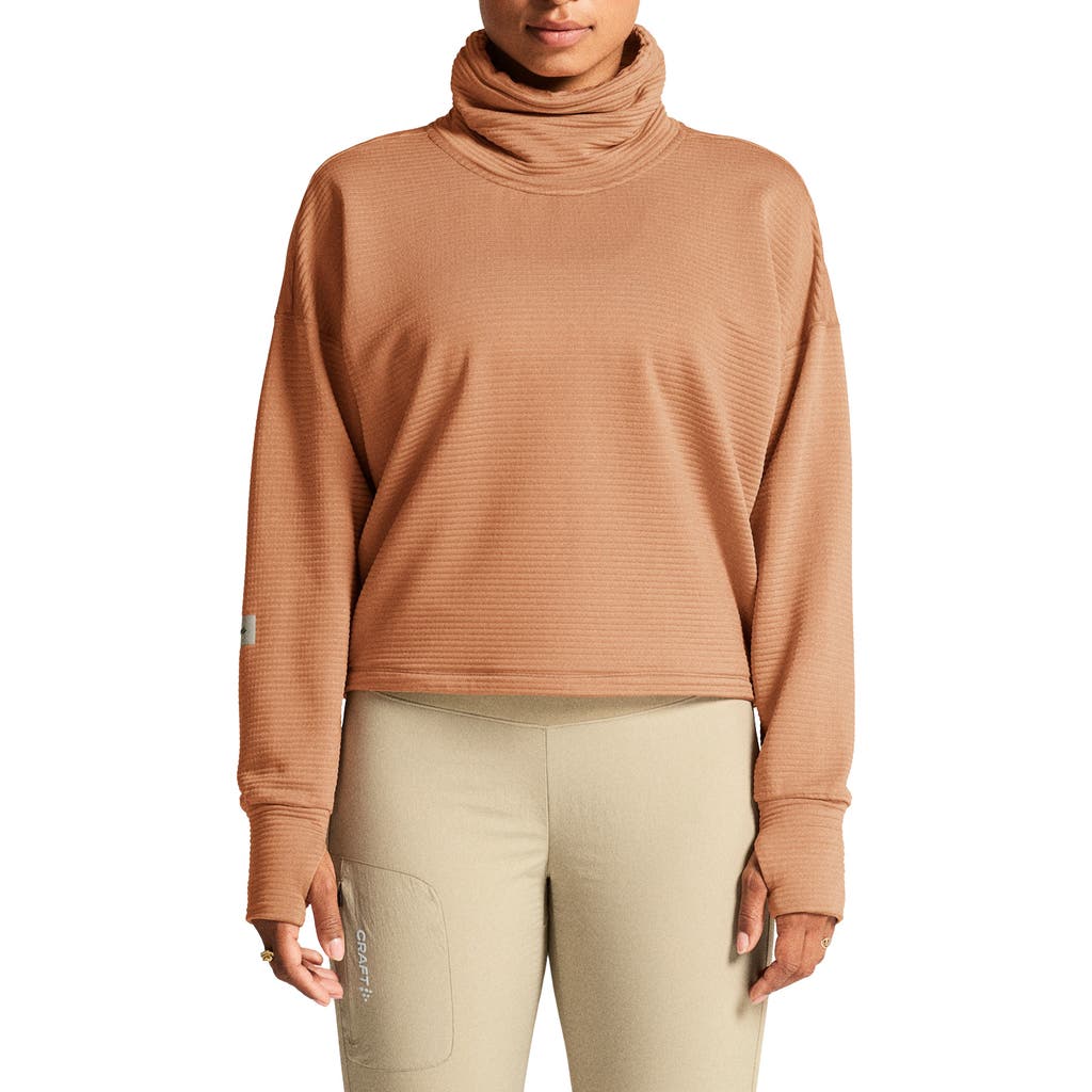 Craft Subz Turtleneck Jersey Sweatshirt In Brown