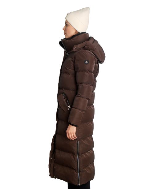 Woodpecker Bird Of Paradise Quilted Coat In Brown
