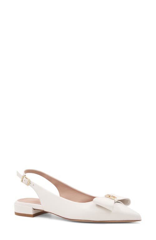 Bruno Magli Bella Pointed Toe Slingback Flat In Bone