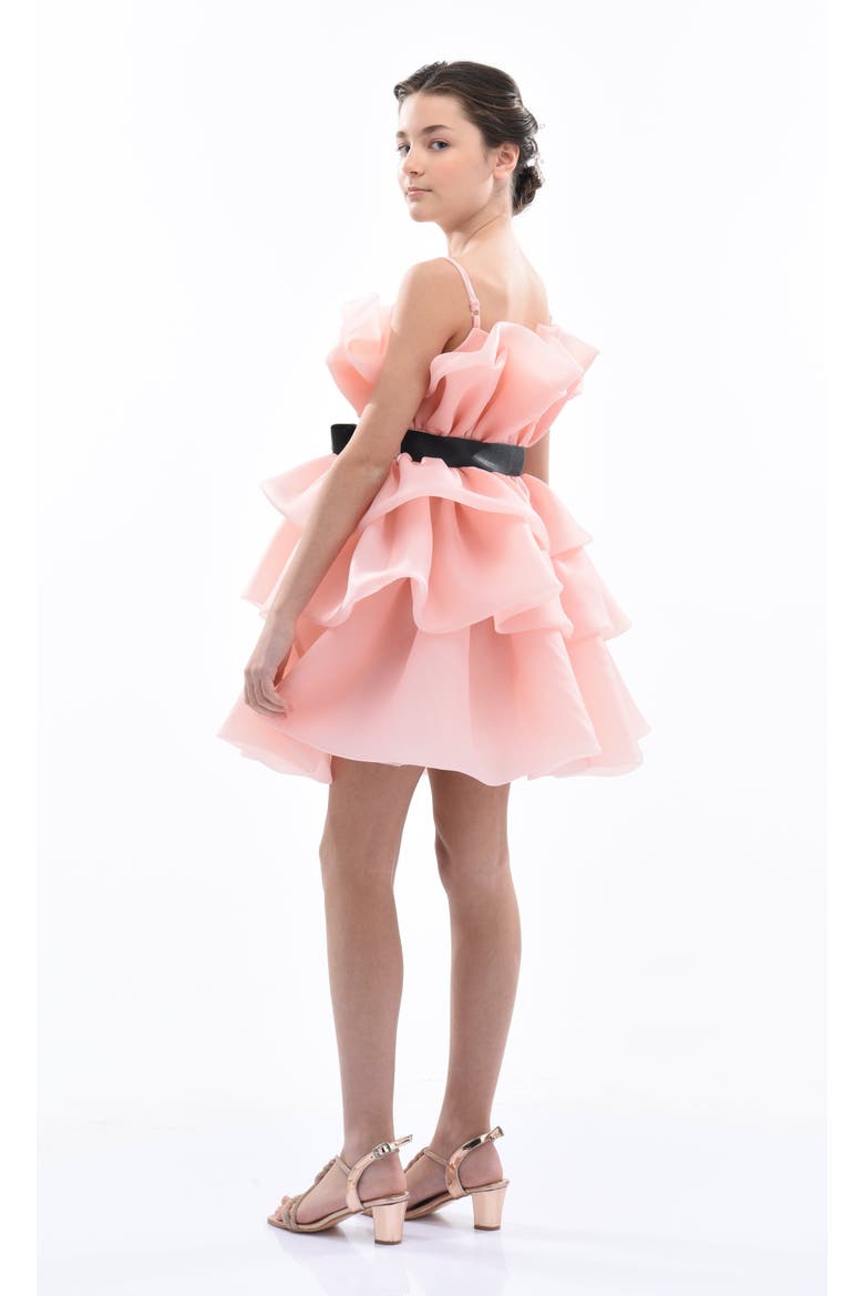 Noella Dress, Alternate, color, Pink