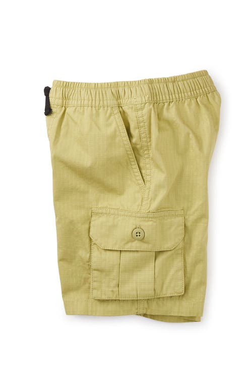 Tea Collection Ripstop Cargo Shorts In Aloe