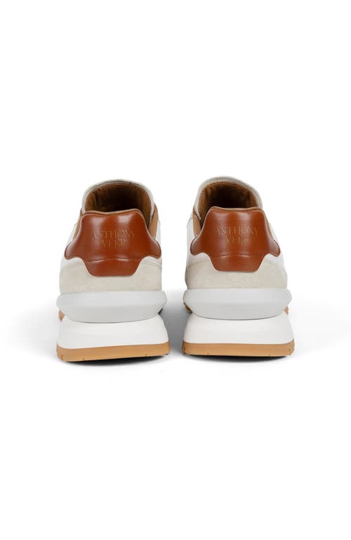 Anthony Veer Men's Edward Runner Sneaker In White Cognac