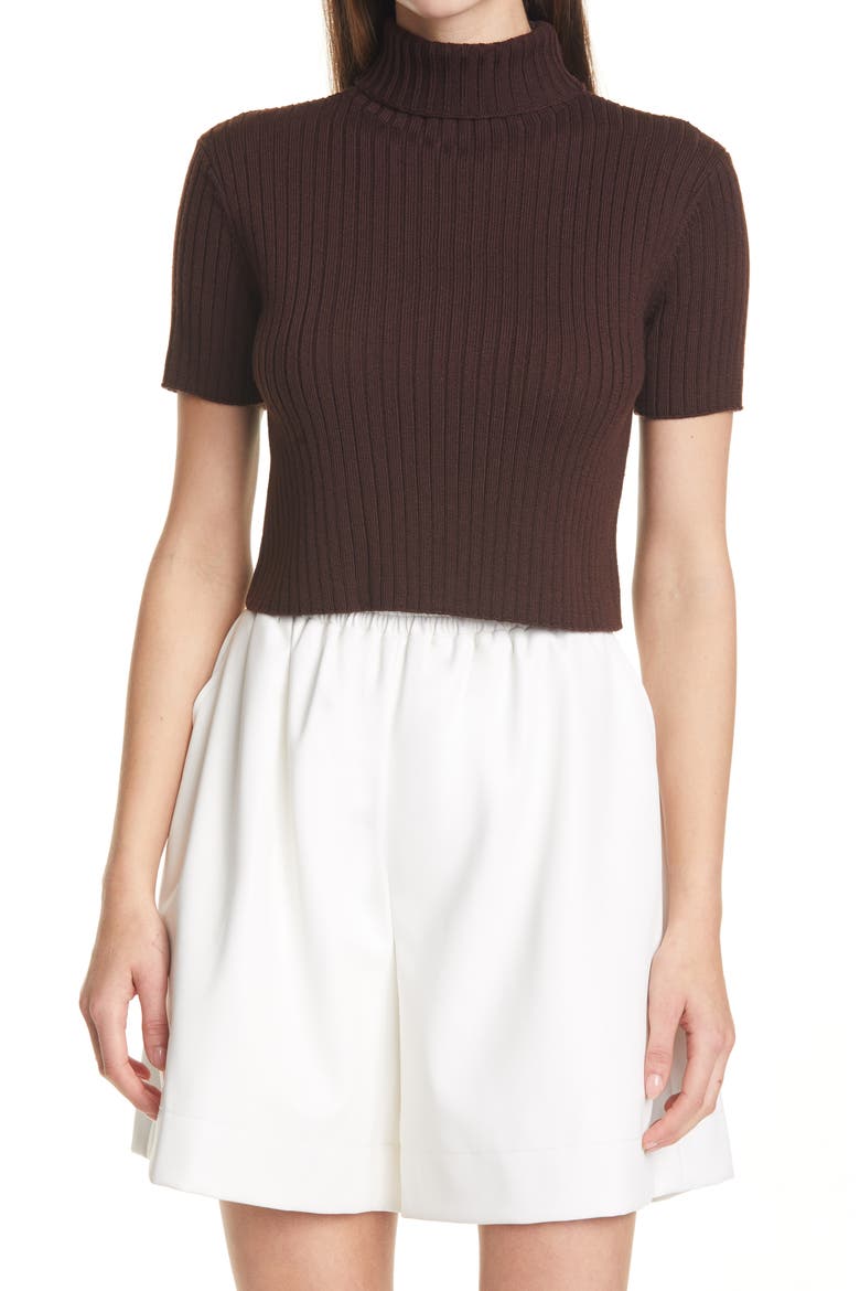 Lilou Crop Wool Blend Turtleneck Top, Main, color, BARK
