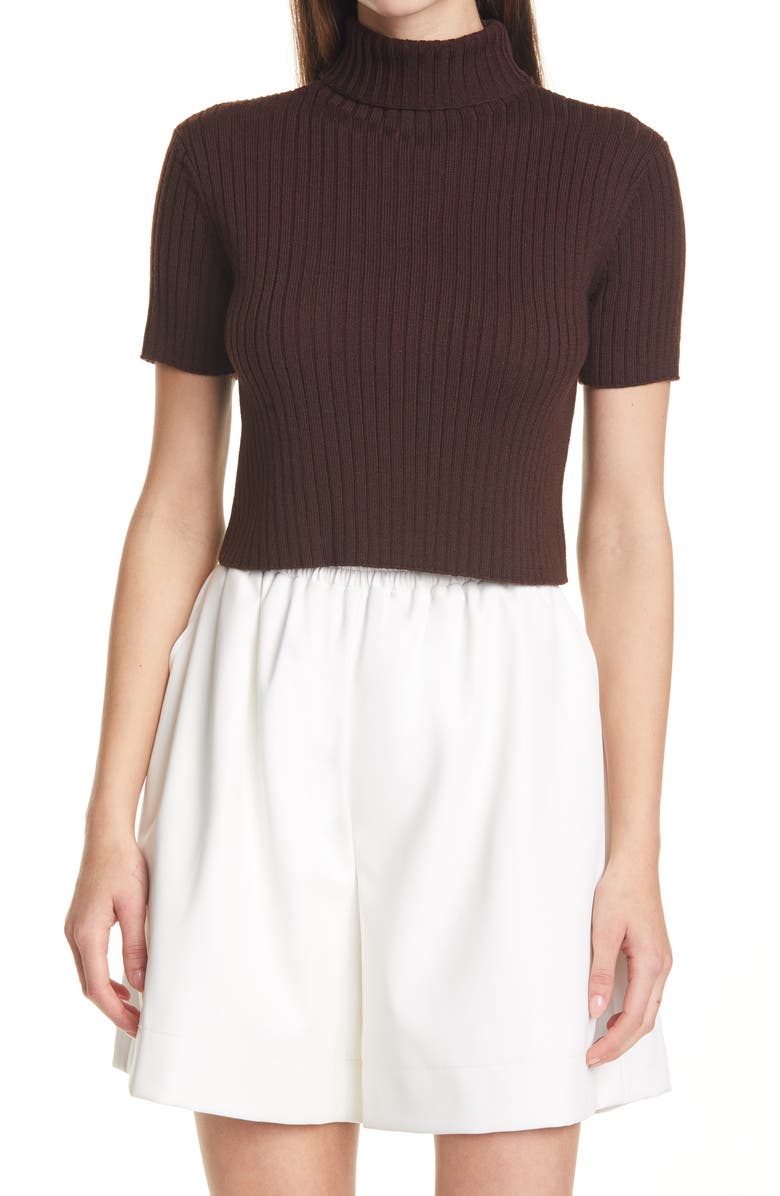 STAUD Lilou Crop Wool Blend Turtleneck Top, Main, color,