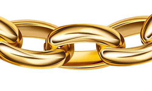 Christina Caruso Double Link Necklace In 14k Gold
