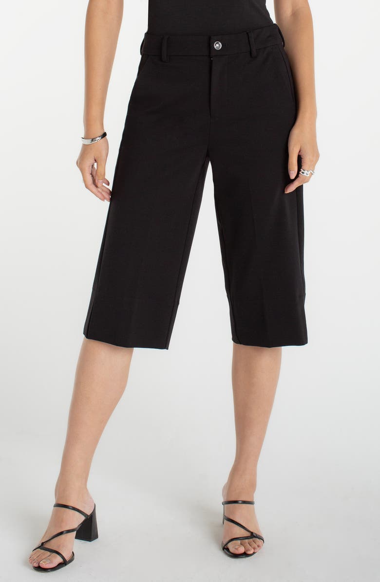 Liverpool Los Angeles High Waist Capris, Main, color,