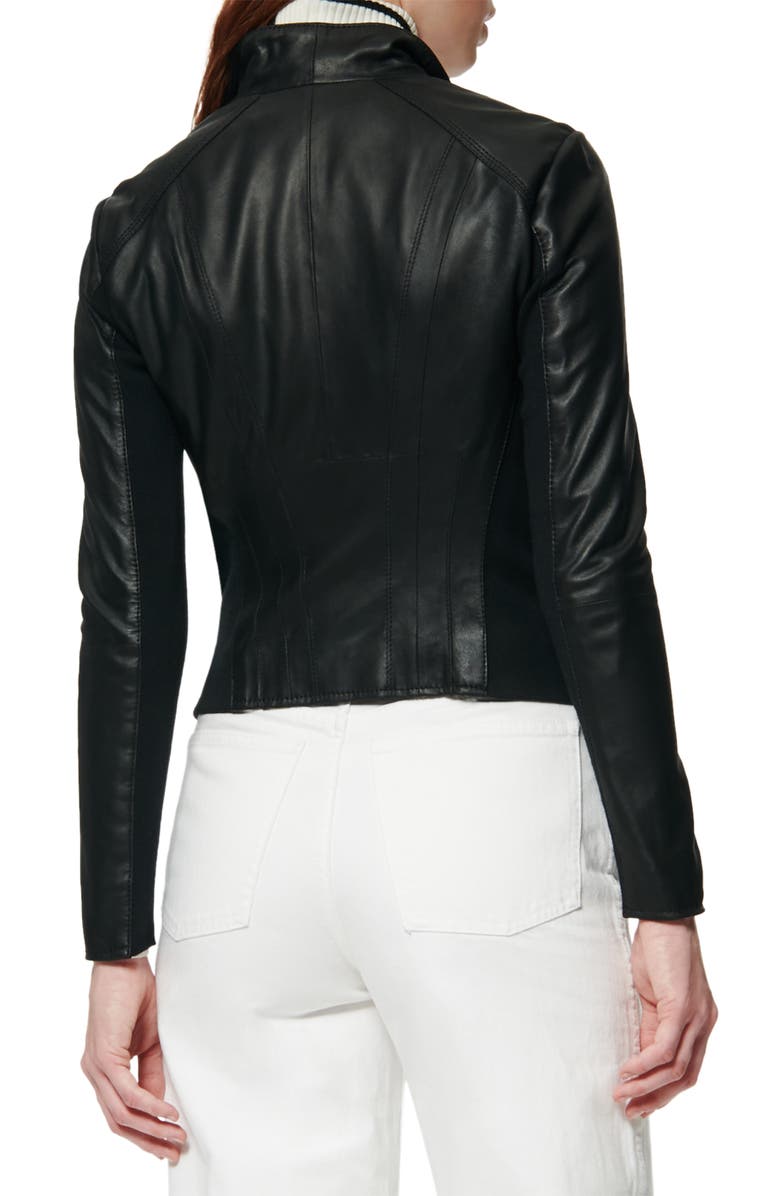 Andrew Marc Marc New York by Andrew Marc Felix Stand Collar Leather Jacket, Alternate, color, 
