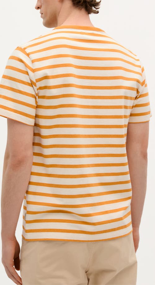Scalpers Stripes Patch Tee In Orange