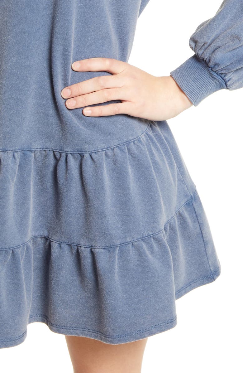 BP. Drop Waist Long Sleeve Babydoll Dress, Alternate, color, 