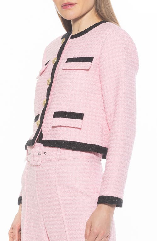 Alexia Admor Rose Tweed Jacket In Pink