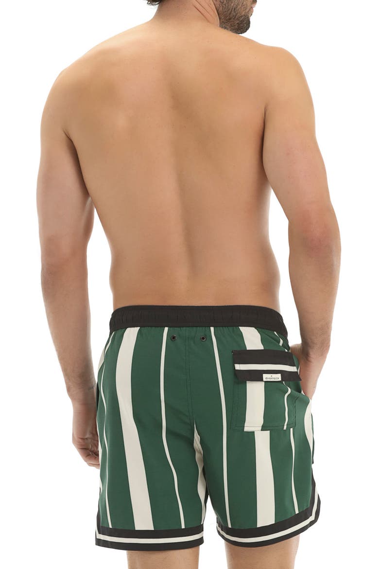 Dan Varsity Swim Trunks, Alternate, color, MULTICOLOR