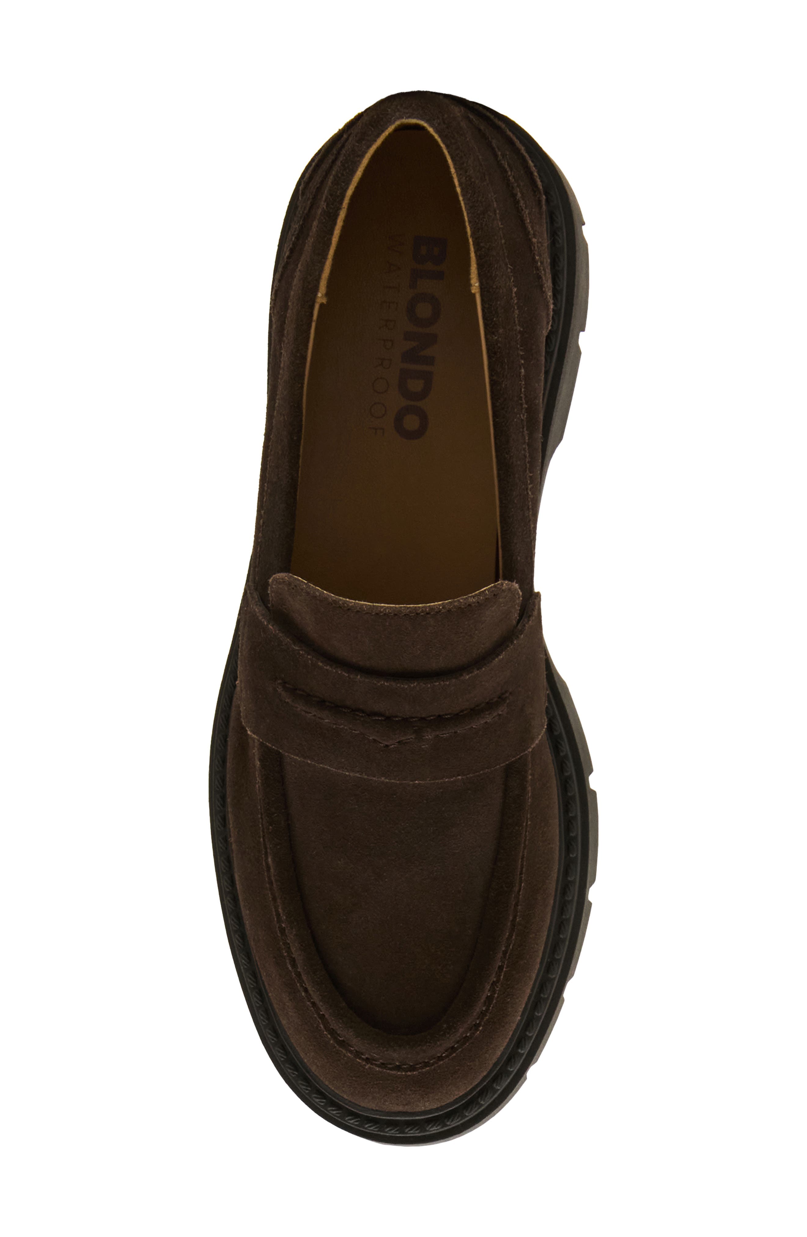 Kisha Waterproof Penny Loafer, Alternate, color, JAVA SUEDE