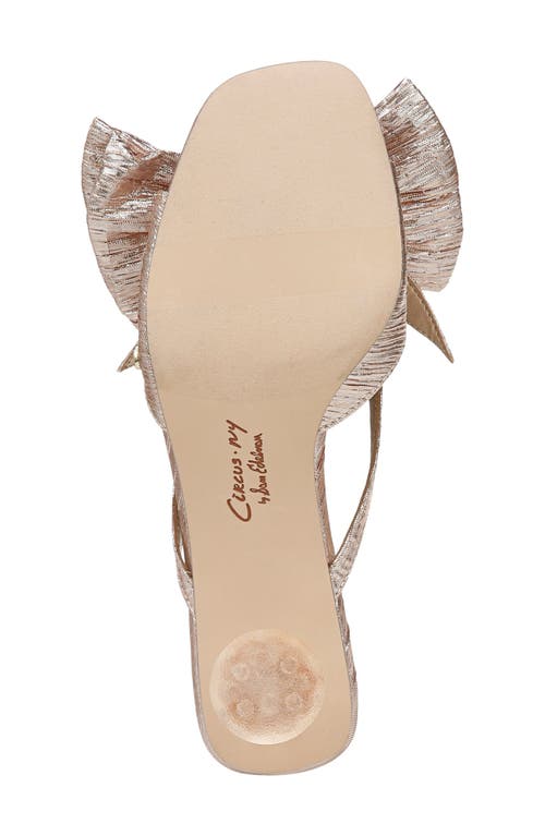 Circus Ny By Sam Edelman Natalina Sandal In Gold