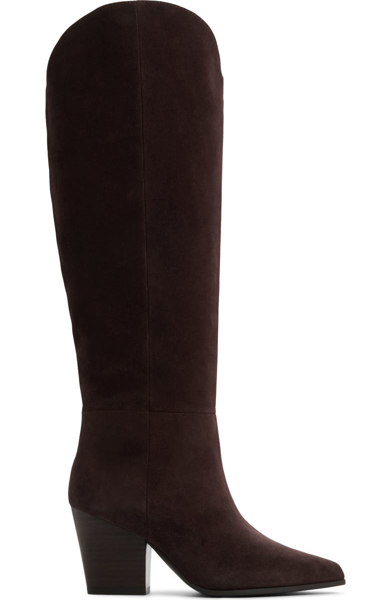 ALDO Kaely Knee High Boot, Alternate, color, Dark Brown