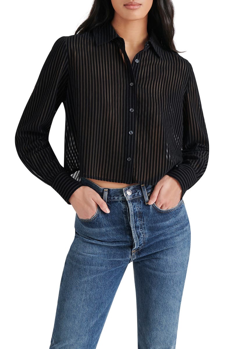 Steve Madden Noelle Burnout Velvet Stripe Button-Up Shirt, Main, color, 