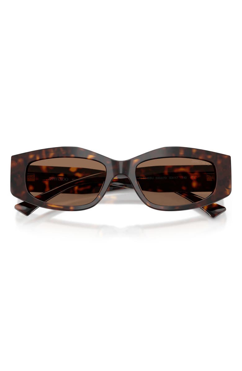 Jimmy Choo 53mm Irregular Sunglasses, Alternate, color, Havana / Dark Brown