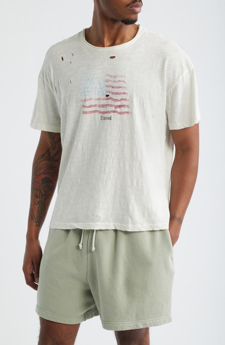 Elwood Frontier Flag Graphic T-Shirt, Main, color, Salt