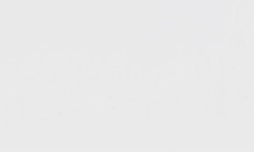 ROSELLI TRADING COMPANY ROSELLI TRADING COMPANY HOUSTON STREET WASTEBASKET