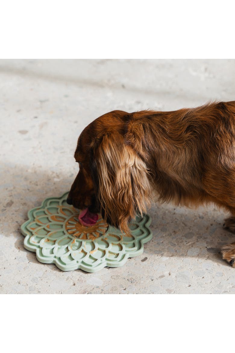 Enrichment Lick Mat, Grooved Silicone, Alternate, color, Green