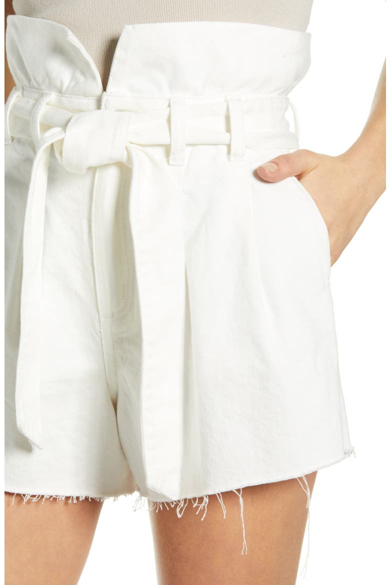 Paperbag Waist Belted Shorts, Alternate, color, HEAD IN THE CLOUDS