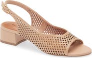 Bottero Botelsa Perforated Open Toe Slingback Pump