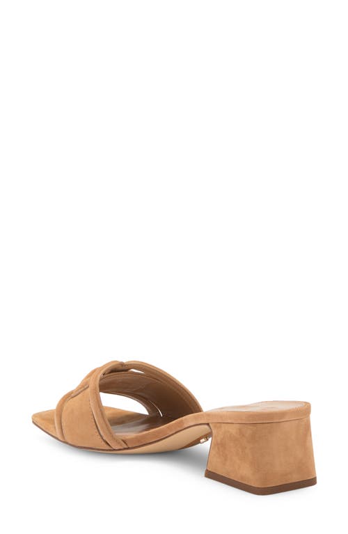 Sam Edelman Waylon Slide Sandal In Cyprus Tan