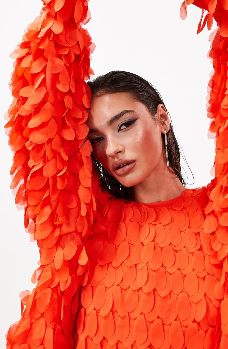 ASOS DESIGN EDITION Appliqué Long Sleeve Trapeze Minidress, Alternate, color, 