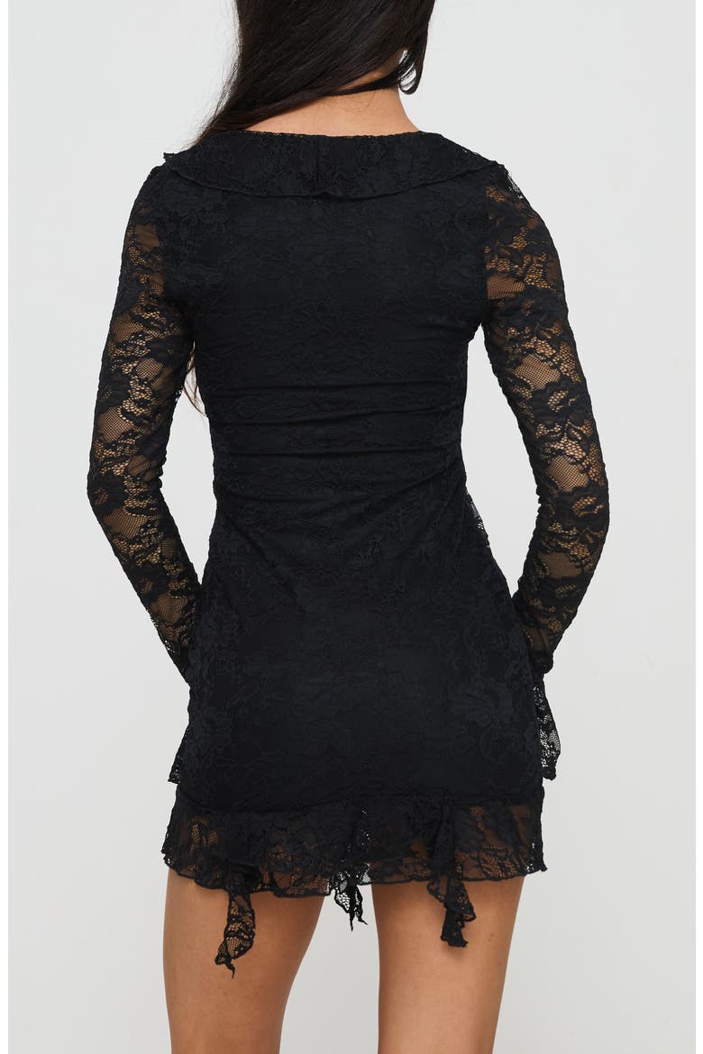 Braun Embroidered Lace Long Sleeve Minidress, Alternate, color, BLACK