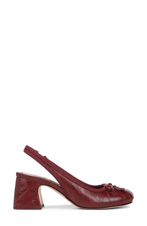Circus Ny By Sam Edelman Diane Slingback Pump In Burgundy