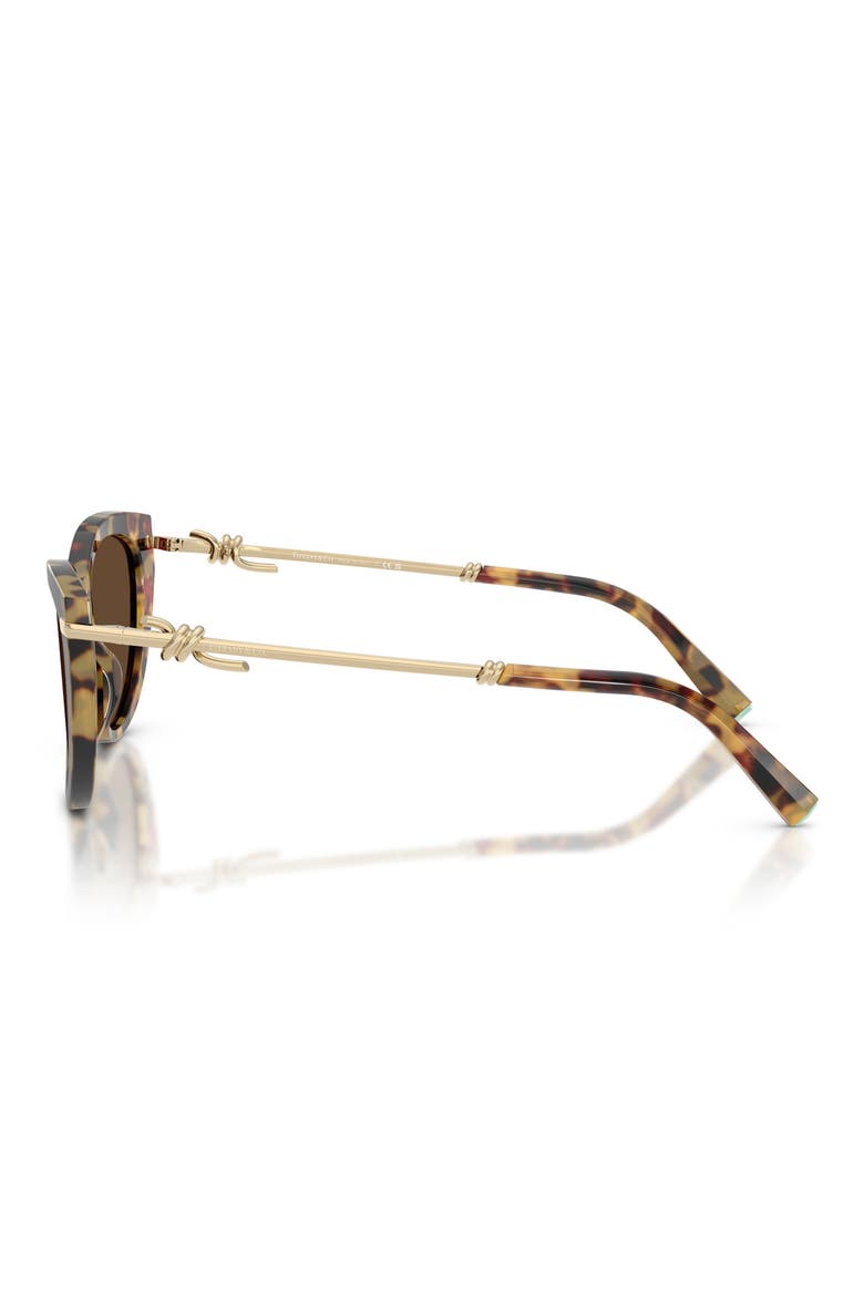 55mm Cat Eye Sunglasses, Alternate, color, BLONDE HAVANA / LIGHT BROWN