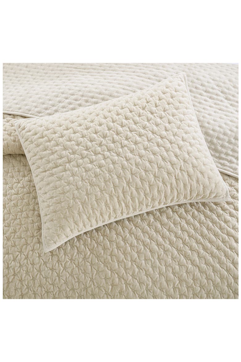 Velvet Quilt & Shams Set, Alternate, color, CREAM