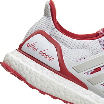 Ultraboost 1.0 Running Sneaker