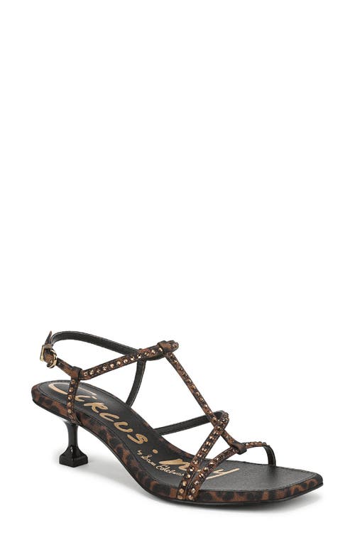 Circus Ny By Sam Edelman Jaida Snakeskin Embossed Strappy Sandal In Multi