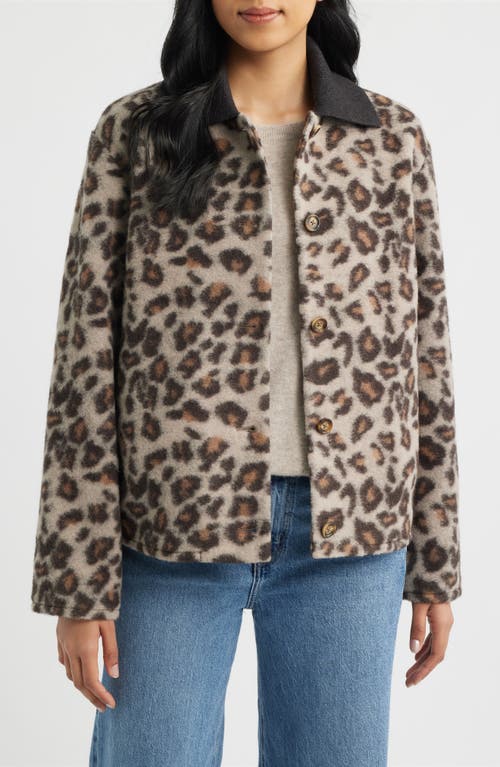 Bernardo Crop Flannel Jacket in Leopard at Nordstrom, Size Xx-Large