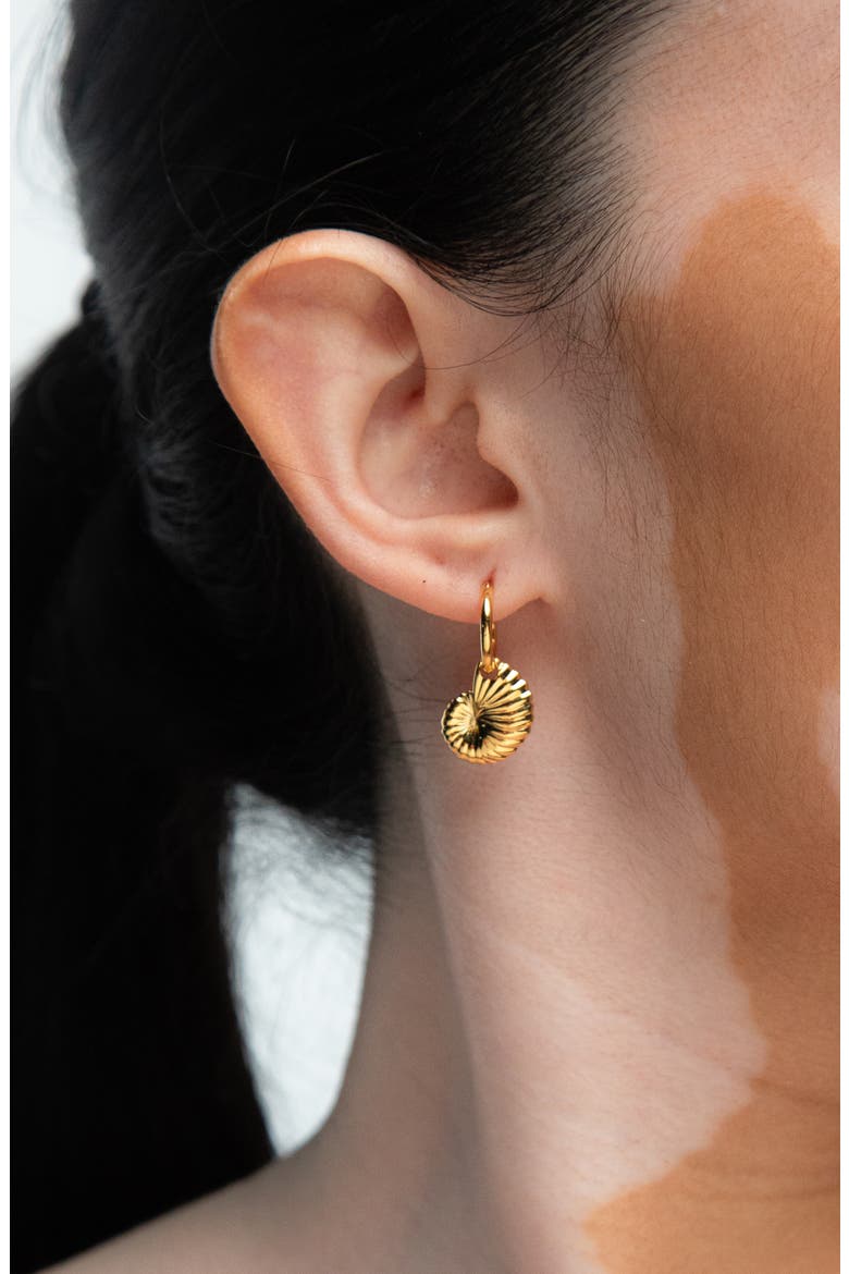 Moro Charm Hoop Earrings In Gold, Alternate, color, Gold