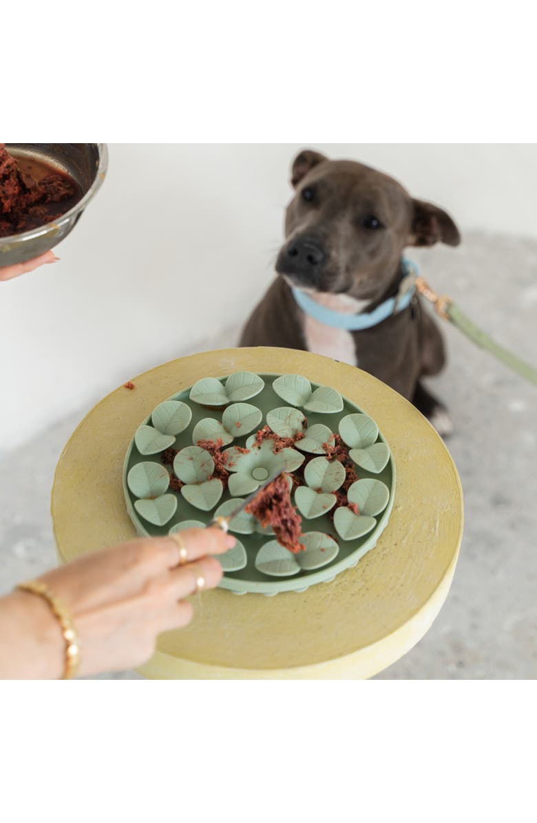 Dexypaws Textured Dog Feeding Pad, Alternate, color, Green