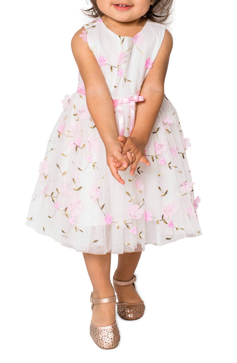 Popatu Floral Embroidered Tulle Dress, Alternate, color, 