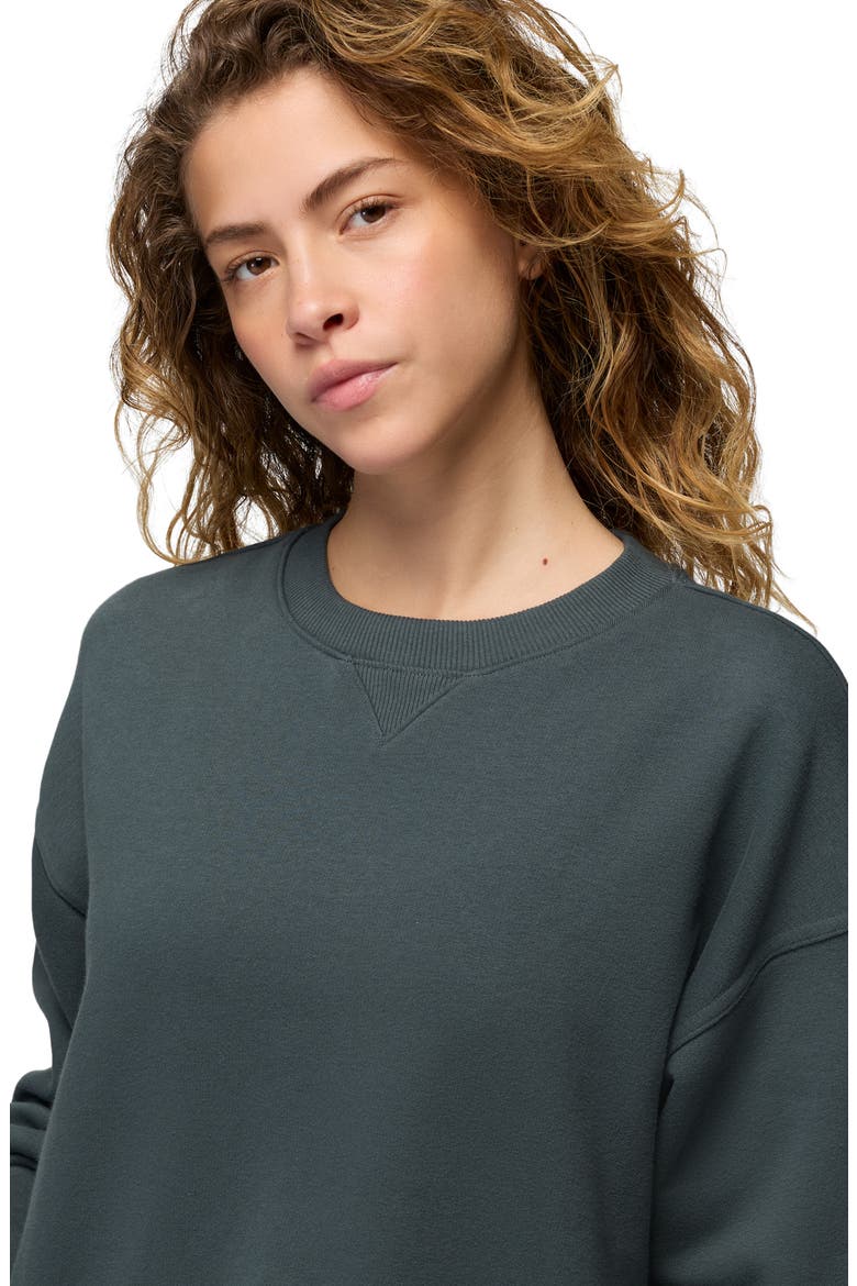 Dreamterry Crewneck Sweatshirt, Alternate, color, GREY BLUE