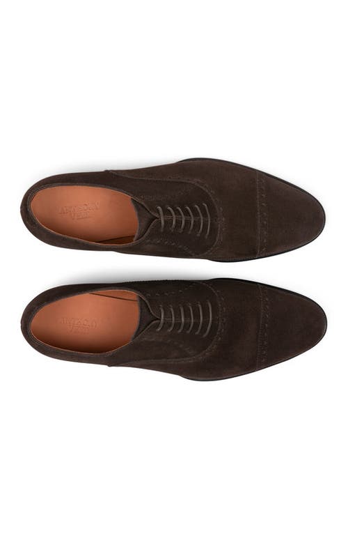 Anthony Veer Windsor Brogue In Tobacco Velvet Brown