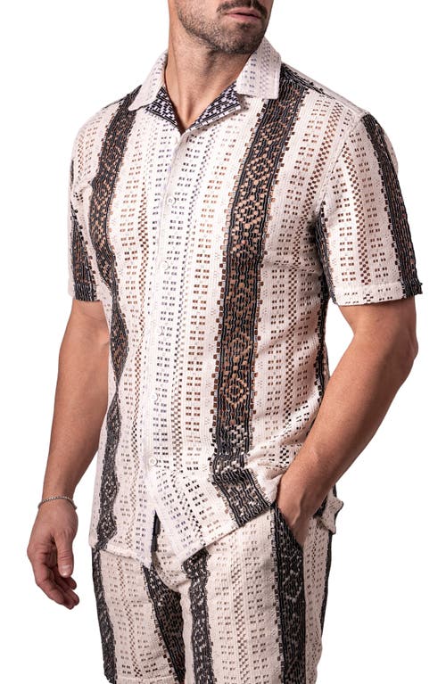 Maceoo Stripescream Open Stitch Short Sleeve Cotton Button-up Shirt In Neutral