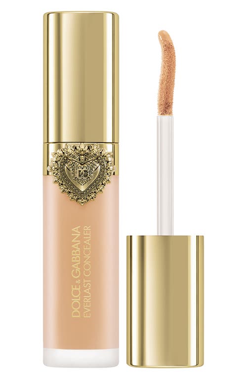 Dolce & Gabbana Dolce&gabbana Everlast Concealer