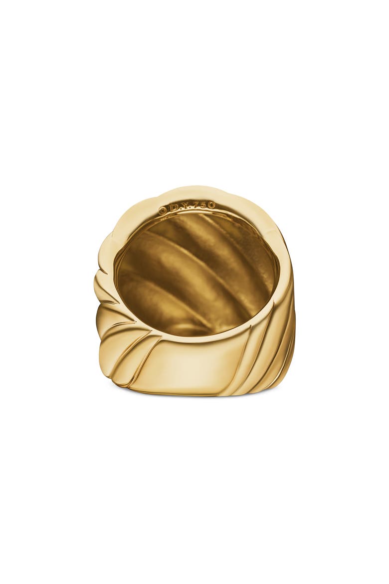 Sculpted Cable Ring in 18K Yellow Gold, Alternate, color, 18K YELLOW GOLD