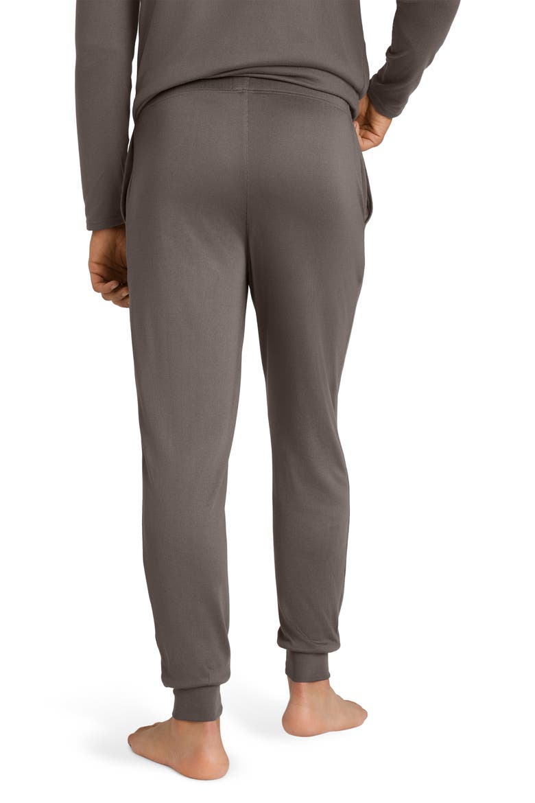 Cozy Pajama Joggers, Alternate, color, FALCON